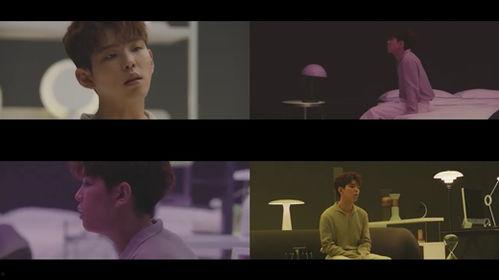 try在线观看,体验try在线观看的精彩世界